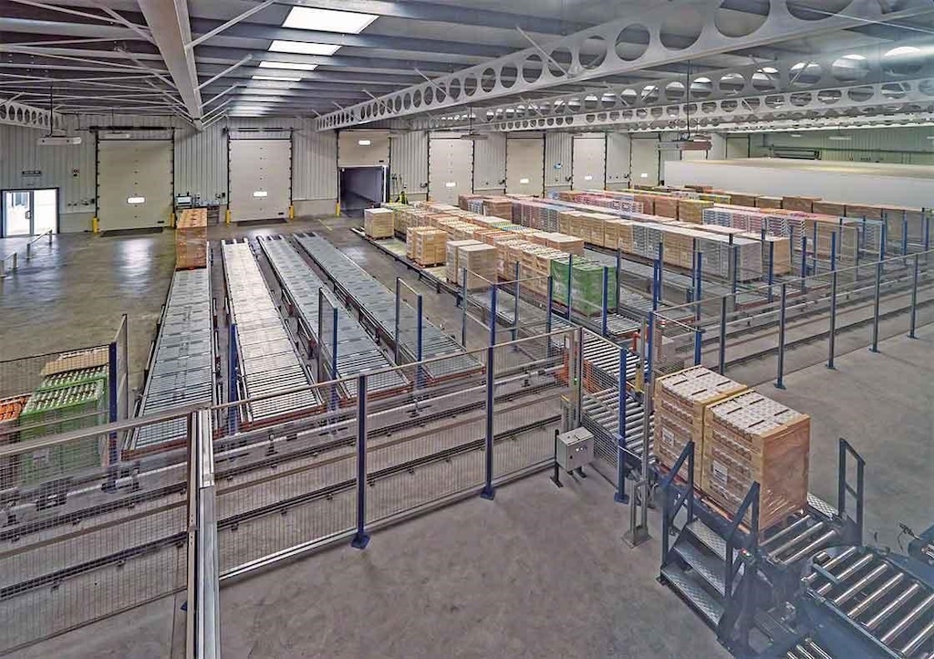 El depósito de Dafsa en España ha instalado un circuito de transportadores que asisten en la recepción de mercadería El depósito de Dafsa en España ha instalado un circuito de transportadores que asisten en la recepción de mercadería
