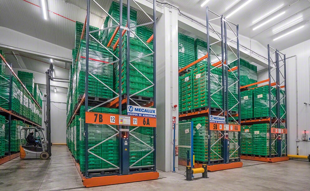 Depósito sectorizado de Grupo Alimentario Citrus a temperatura refrigerada