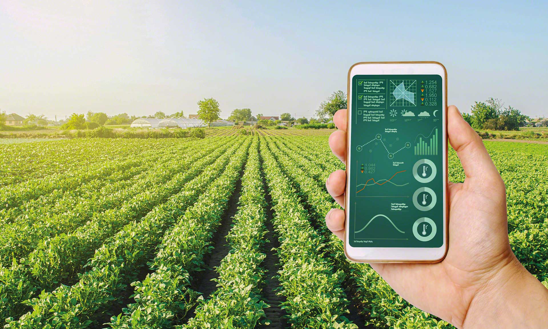 LT Distribution Europe controla la trazabilidad de los alimentos LT Distribution Europe controla la trazabilidad de los alimentos