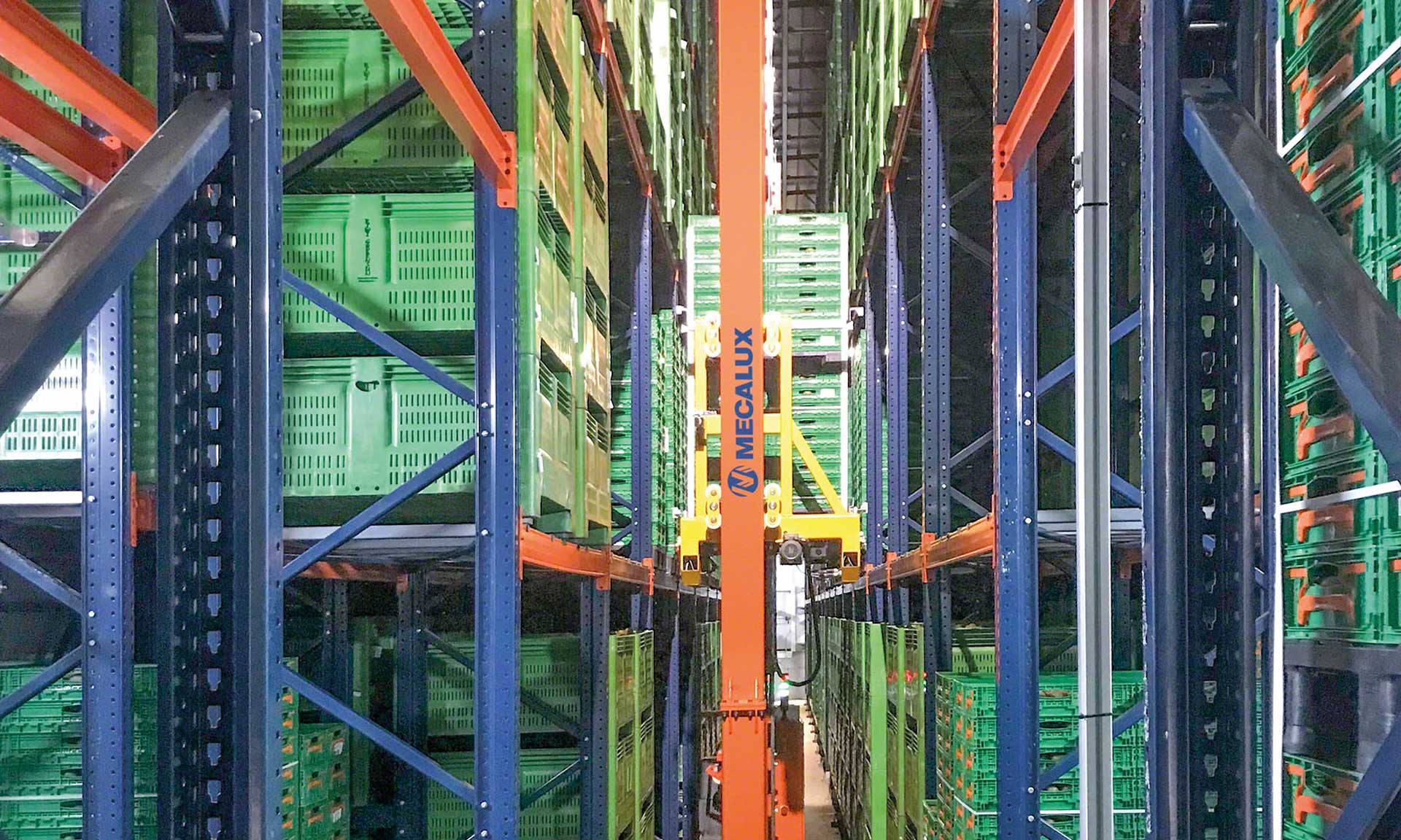 Kiwi Greensun: el punto de maduración perfecto en un depósito refrigerado Kiwi Greensun: el punto de maduración perfecto en un depósito refrigerado