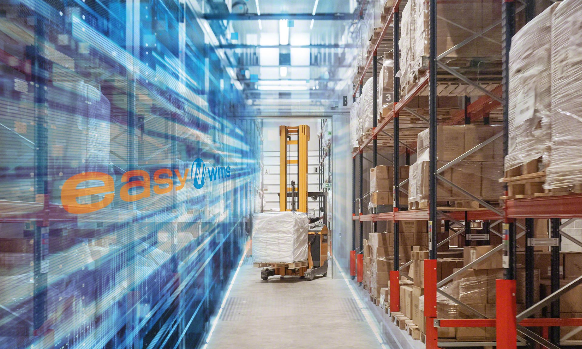 La empresa de packaging Intermark elimina errores en su depósito digitalizado La empresa de packaging Intermark elimina errores en su depósito digitalizado