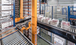 La cadena de frío en logística La cadena de frío en logística