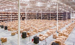 Cambios: - paletizado → palletizado - mercancía → mercadería - palet → pallet Texto adaptado: El palletizado organiza la mercadería sobre un pallet para facilitar su manipulación, almacenamiento y transporte