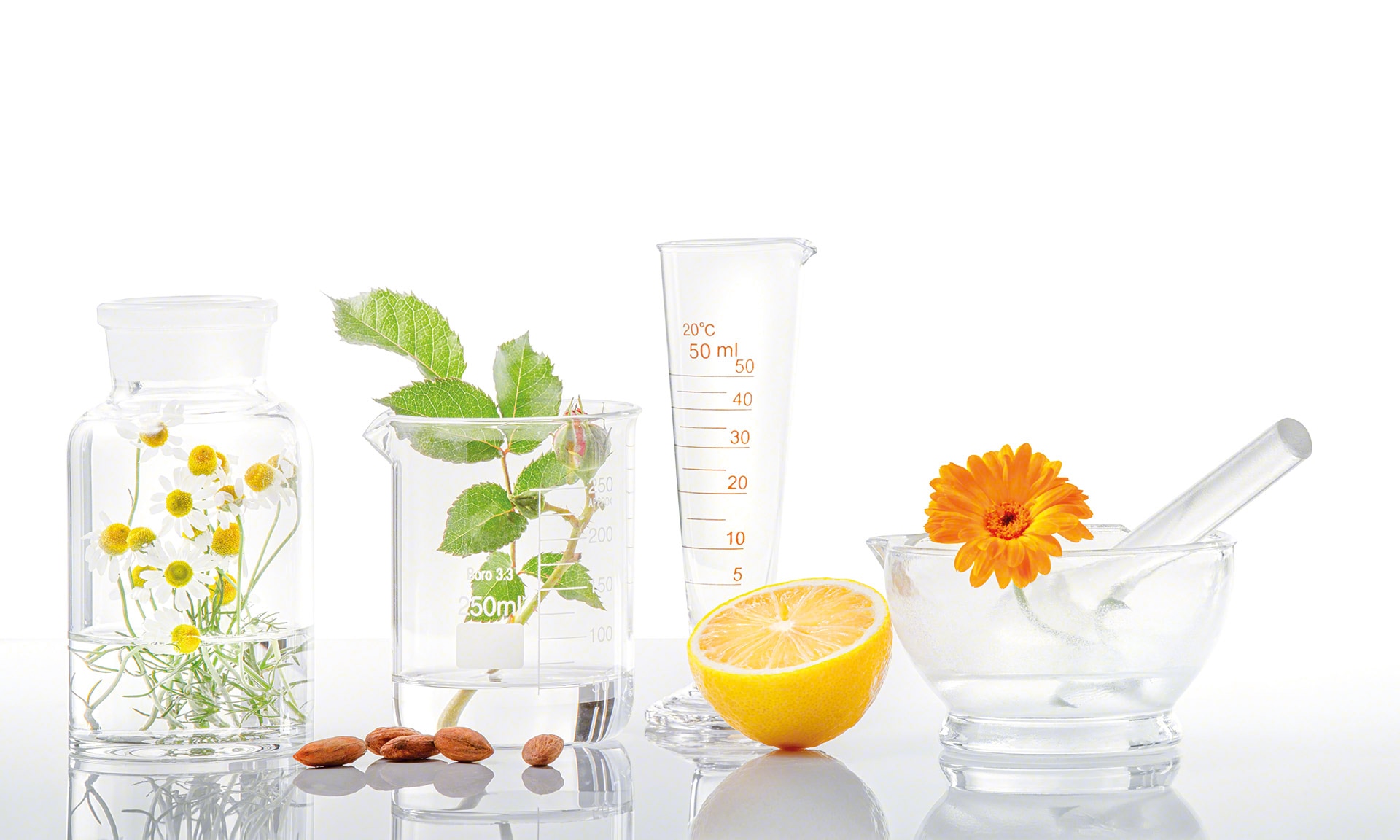 La Source digitaliza su depósito para productos naturales de dietética con Easy WMS La Source digitaliza su depósito para productos naturales de dietética con Easy WMS