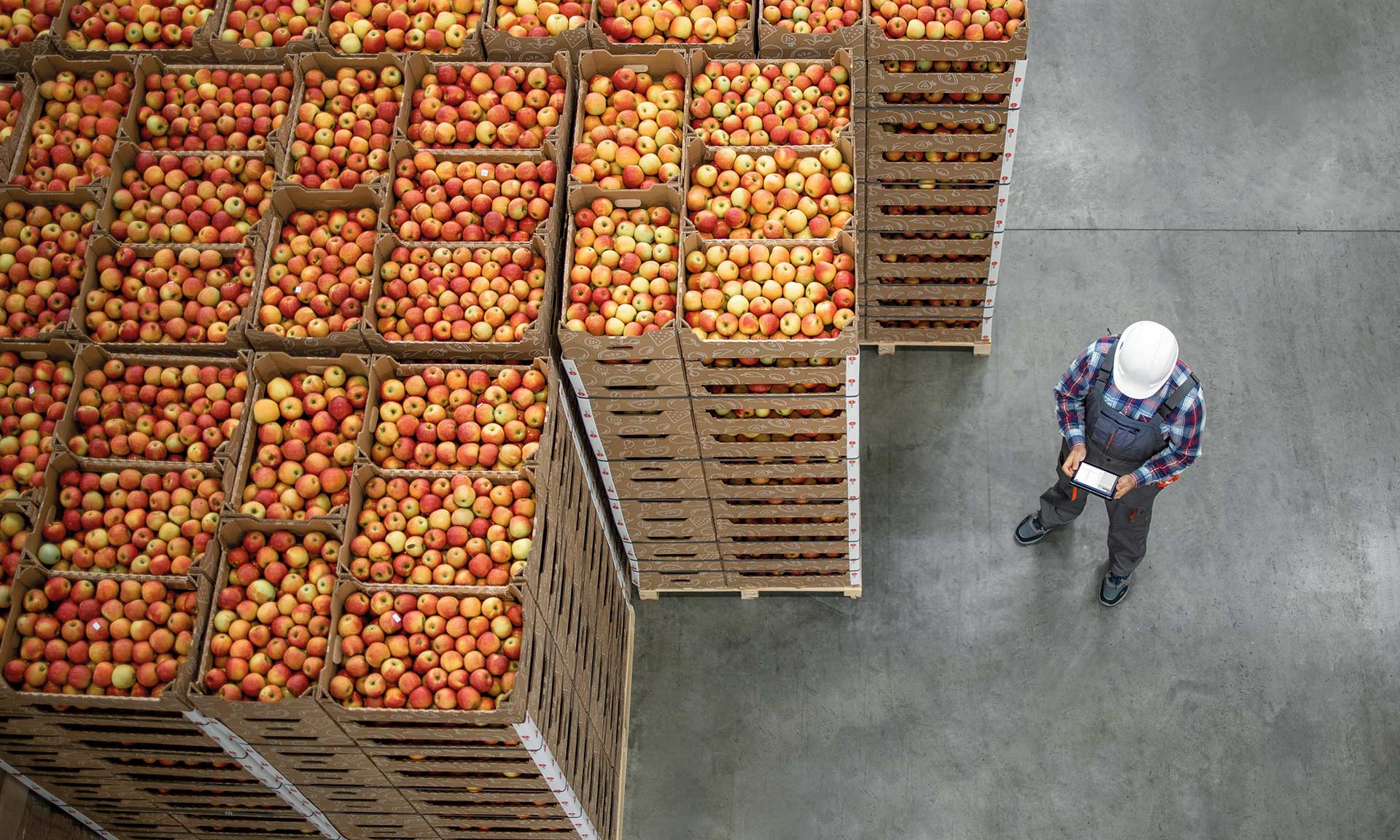 Megafin (3PL) digitaliza con Easy WMS uno de los mayores depósitos de Colombia Megafin (3PL) digitaliza con Easy WMS uno de los mayores depósitos de Colombia