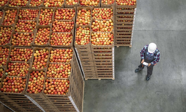 Megafin (3PL) digitaliza con Easy WMS uno de los mayores depósitos de Colombia