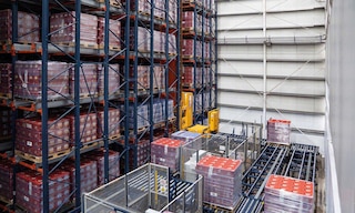 Grupo Rica inaugura el primer depósito automático de pallets de la República Dominicana